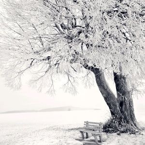 Meet your Posher, Praise